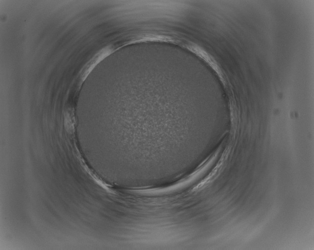 X0000073861377200608170932