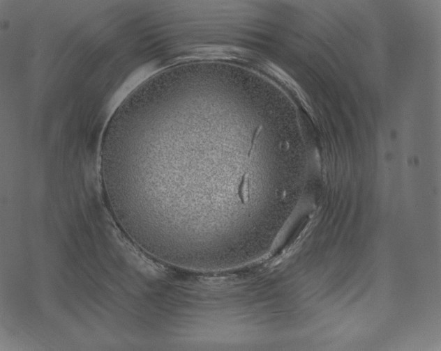 X0000073861378200608170931