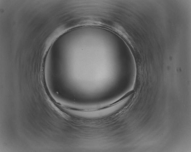 X0000073861379200608170931