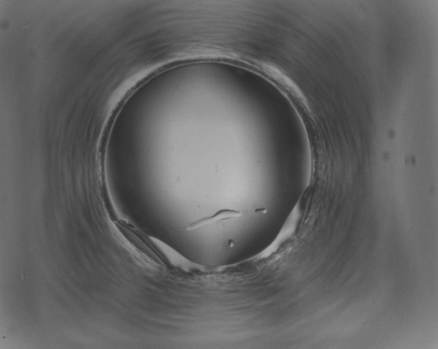 X0000073861380200608170931