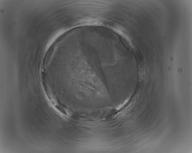 X0000073861383200608170931