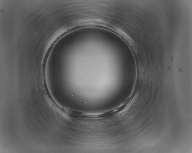 X0000073861384200608170931