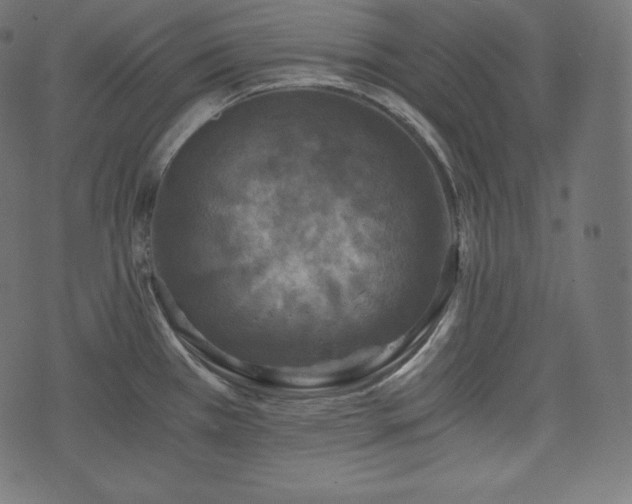 X0000073861385200608170931