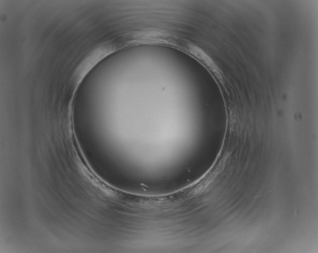 X0000073861386200608170931