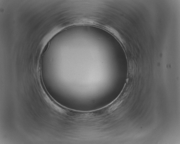 X0000073861387200608170931