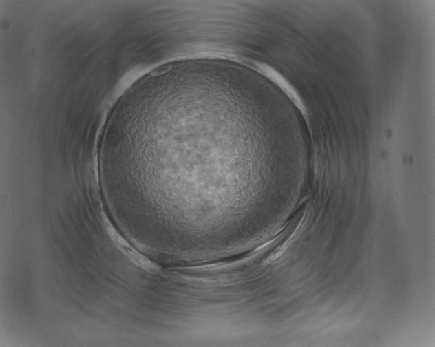 X0000073861388200608170931