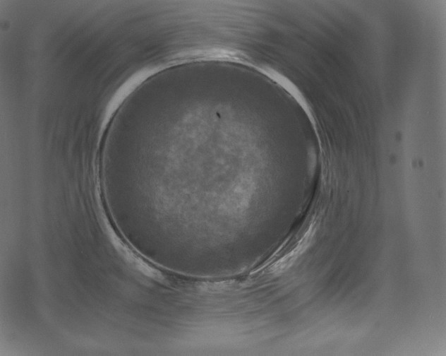 X0000073861389200608170931