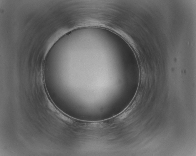 X0000073861390200608170931