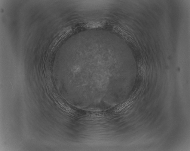 X0000073861393200608170930