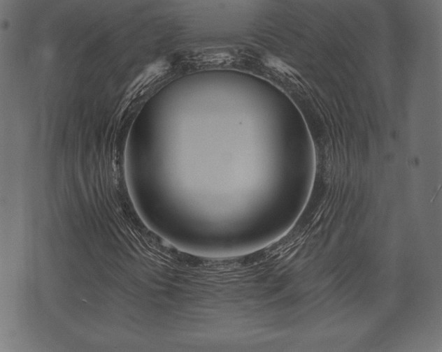 X0000073861394200608170930