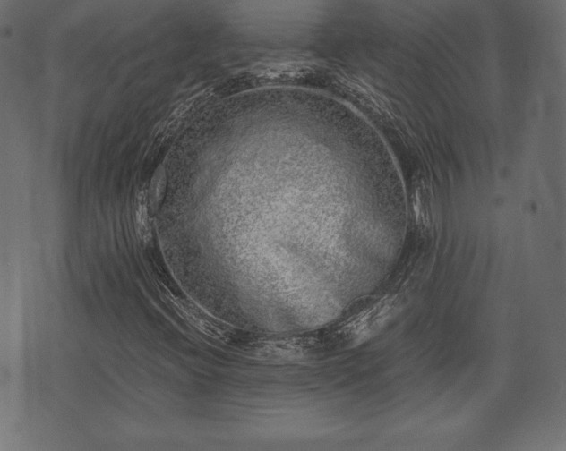 X0000073861396200608170931