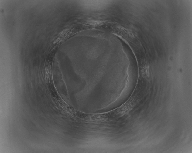 X0000073861397200608170931