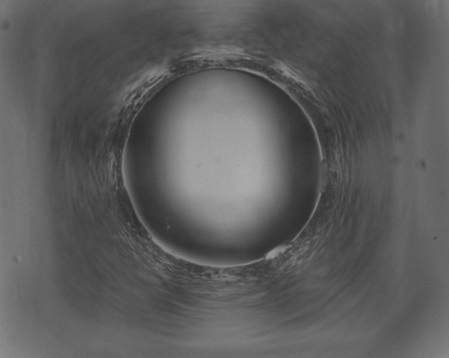 X0000073861398200608170931