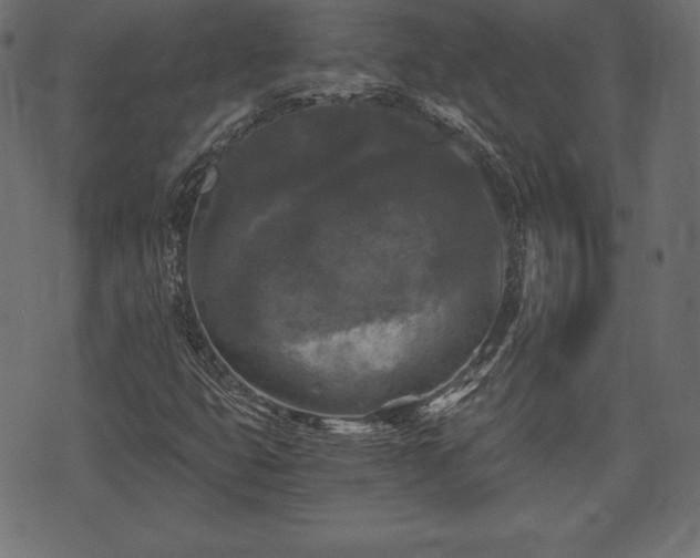 X0000073861399200608170931