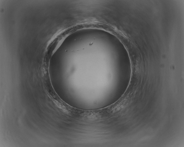 X0000073861400200608170931