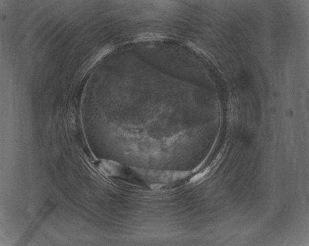 X0000073861401200608170931