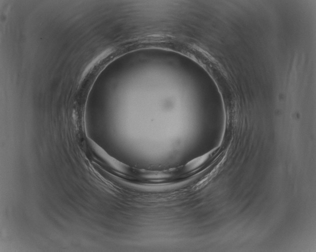 X0000073861402200608170931