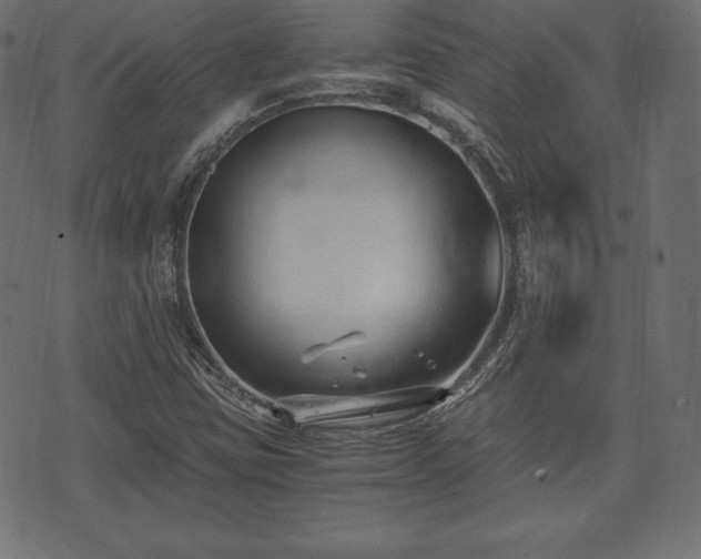 X0000073861403200608170931