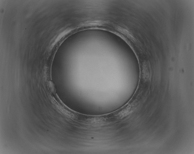 X0000073861404200608170931