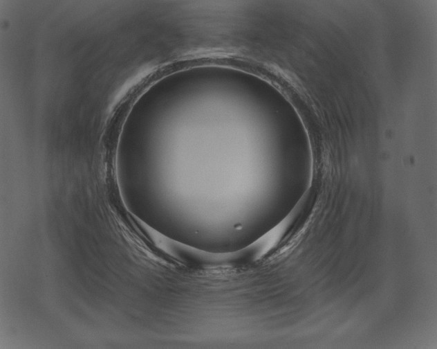 X0000073861406200608170931