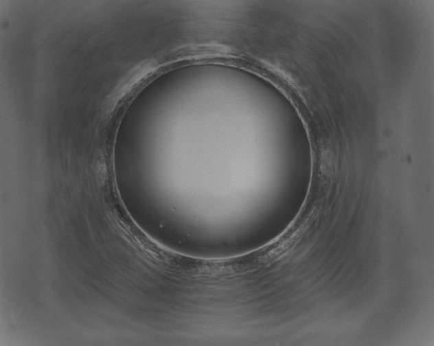 X0000073861407200608170931