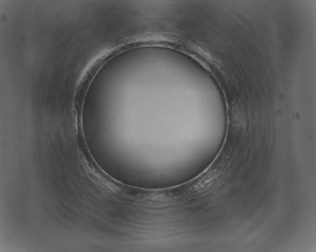 X0000073861408200608170931