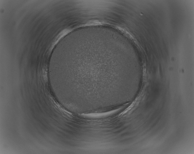 X0000073861409200608170931