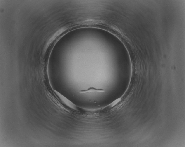 X0000073861410200608170931