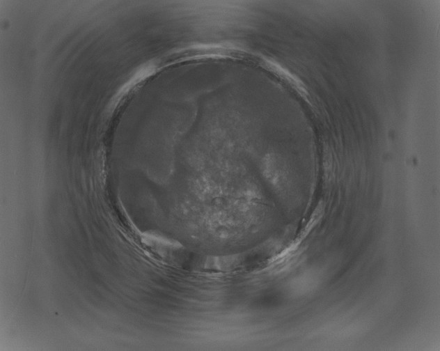 X0000073861411200608170931