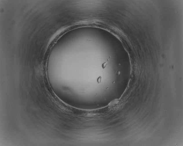 X0000073861412200608170931