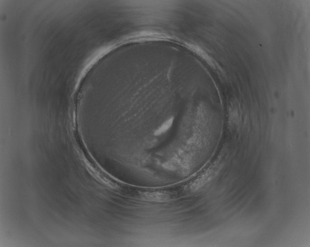 X0000073861413200608170931