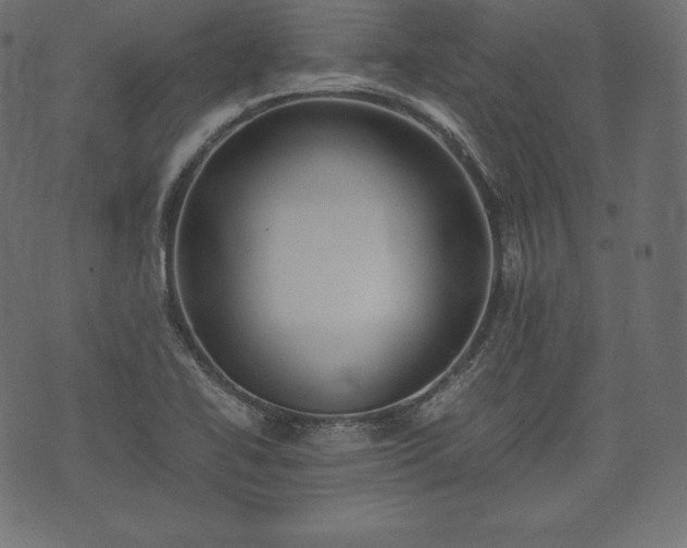 X0000073861414200608170931