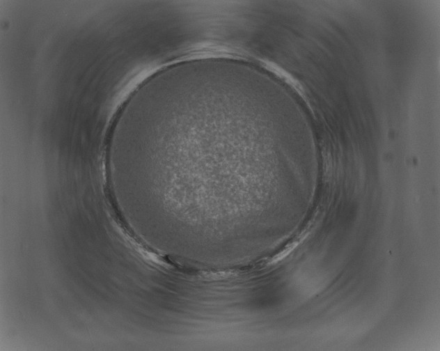 X0000073861415200608170931