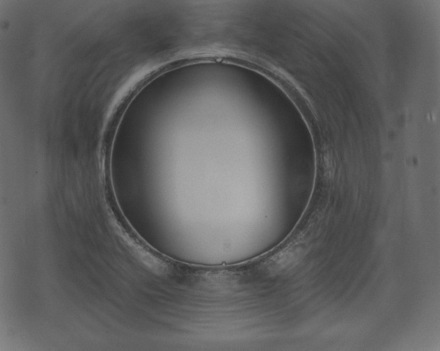 X0000073861416200608170931