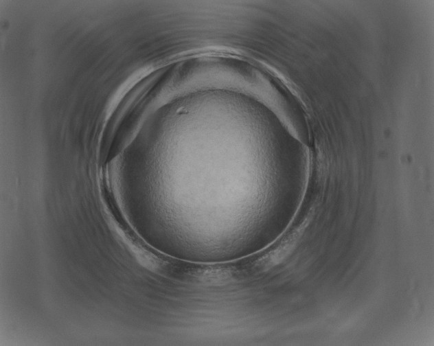 X0000073861418200608170931