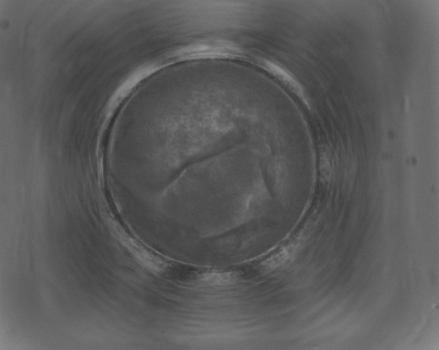 X0000073861419200608170931