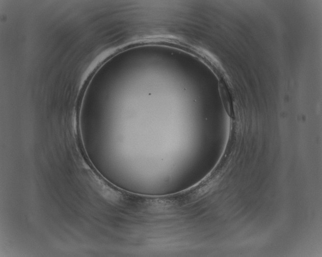 X0000073861420200608170931