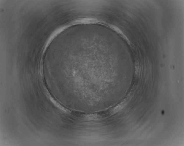 X0000073861421200608170931