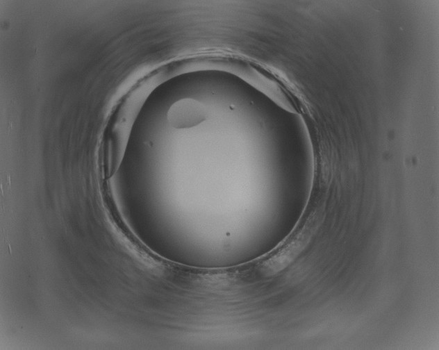 X0000073861422200608170931