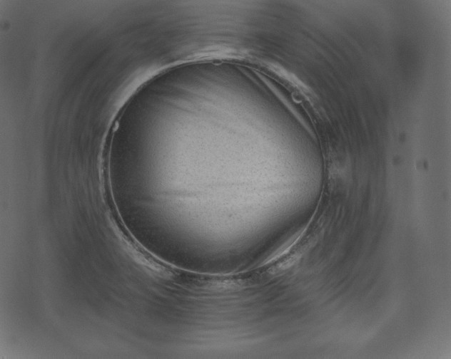 X0000073861423200608170931