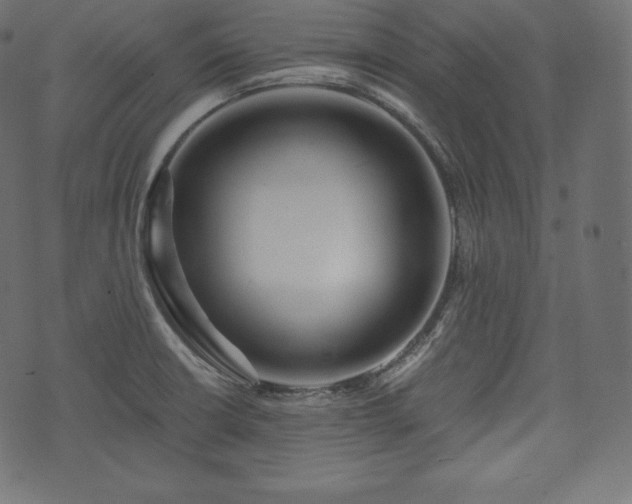 X0000073861426200608170931