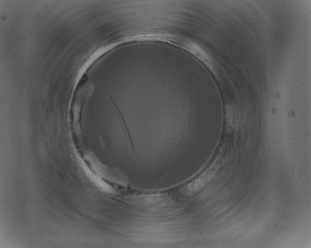 X0000073861428200608170931