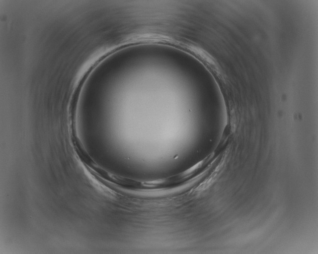 X0000073861430200608170931