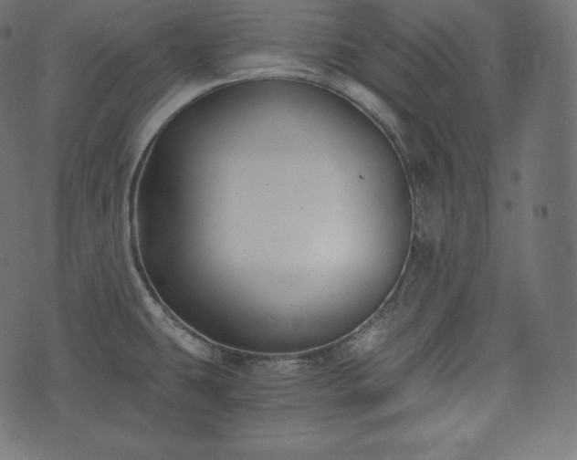 X0000073861431200608170931