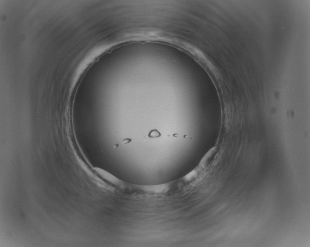 X0000073861432200608170931