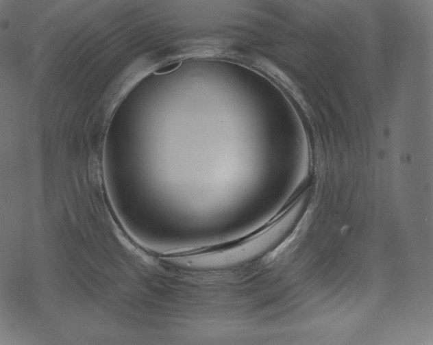 X0000073861433200608170931