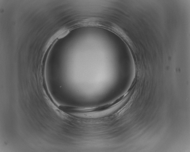 X0000073861434200608170931