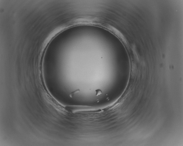 X0000073861435200608170931