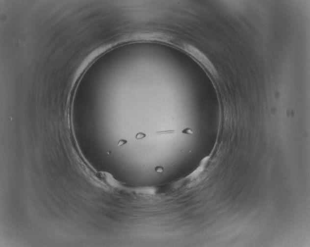 X0000073861436200608170931