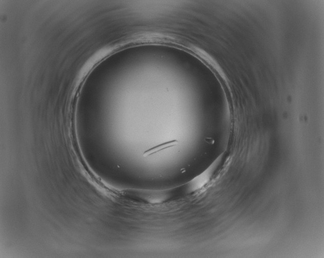 X0000073861437200608170931